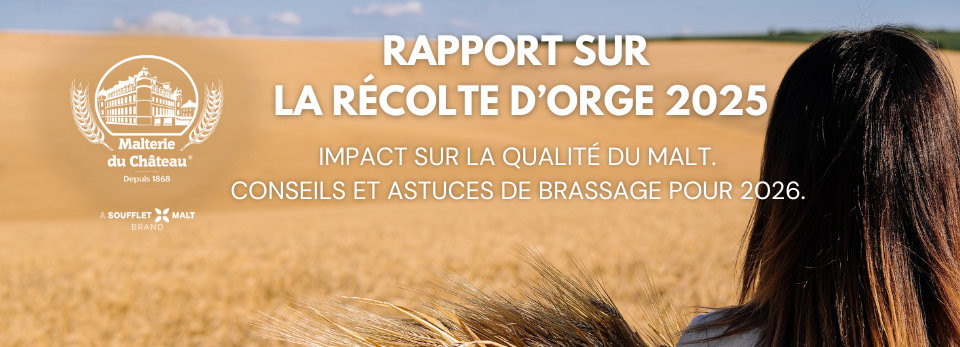 Rapport Orges 2025 MDC
