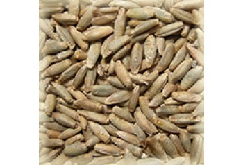 MALT CHÂTEAU RYE NATURE® (SEIGLE BIO)