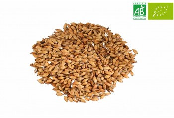 MALT CHÂTEAU SPECIAL Belgium NATURE