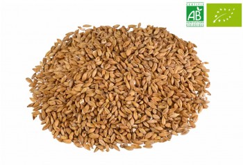 MALT CHÂTEAU ACIDE NATURE®