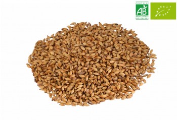 MALT CHÂTEAU CARA CRYSTAL NATURE
