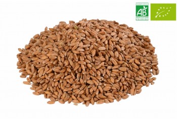 MALT CHÂTEAU SPELT NATURE® (ÉPEAUTRE BIO)