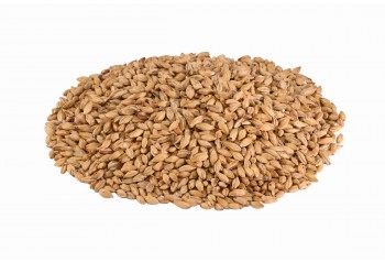 MALT CHÂTEAU MARIS OTTER MALT