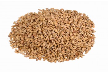 Malt CHÂTEAU ABBAYE®