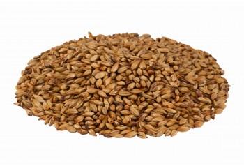 Malt CHÂTEAU CARA GOLD®
