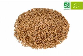 Malt CHÂTEAU CARA CLAIR NATURE
