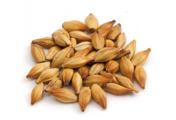 Spécial Aromatique