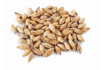 MALT TOURBE 35 PPM 