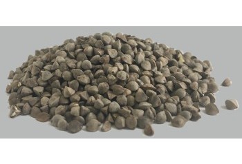 Malt de Sarrasin   Edition limitée