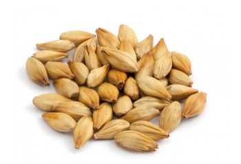 Caramel Vienne BIO