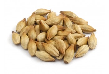 Caramel Ambré BIO