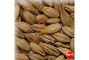 MALT CHÂTEAU RED INTENSE