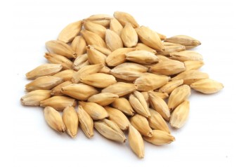 Malt Munich 15 6RH