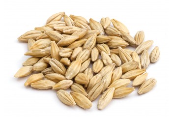 Malt Munich 25 6RH