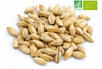 Pale Ale 2RP BIO