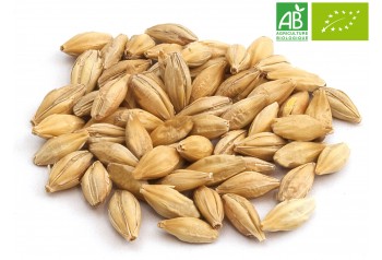 Malt Pilsen 2RP BIO