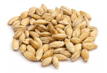 Malt Pilsen 6RH