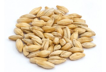 Malt Vienne 10 6RH