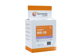 Levure SafAle™ WB‑06