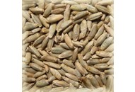 MALT CHÂTEAU RYE NATURE® (SEIGLE BIO)