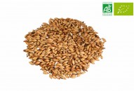 MALT CHÂTEAU SPECIAL Belgium NATURE