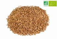 MALT CHÂTEAU ACIDE NATURE®