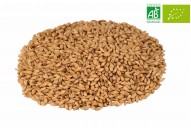 MALT CHÂTEAU SMOKED NATURE® (FUMÉ BIO)