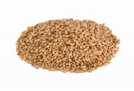MALT CHÂTEAU MARIS OTTER MALT