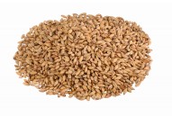Malt CHÂTEAU ABBAYE®