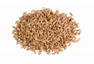 Malt CHÂTEAU BISCUIT®