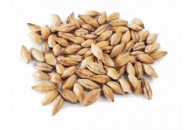 MALT TOURBE 35 PPM 