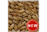 MALT CHÂTEAU RED INTENSE