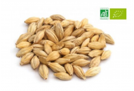 Malt Distilling bio