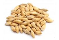 Malt Munich 15 6RH