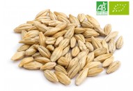 Malt Munich 30 BIO