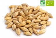 Malt Pilsen 2RP BIO