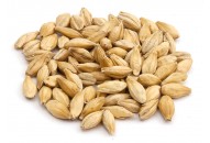 Malt Pilsen 6RH