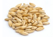 Malt Vienne 10 6RH