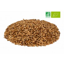 Malt CHÂTEAU CARA GOLD NATURE®