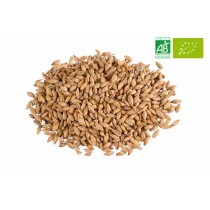 Malt CHÂTEAU BISCUIT NATURE