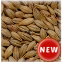 MALT CHÂTEAU RED INTENSE