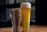 Découvrez CHÂTEAU CARA ULTRA : l’innovation récompensée au Salon du Brasseur de Nancy 2025 !