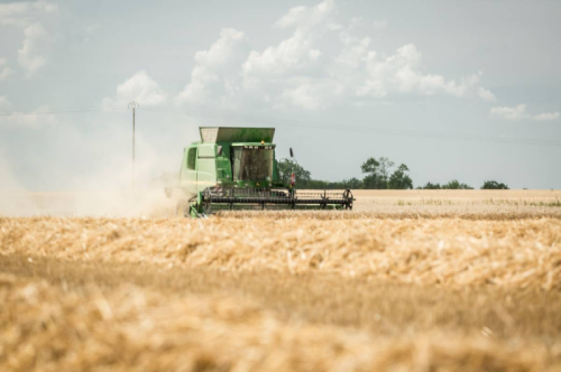 Des marchés agricoles qui impactent le prix du malt