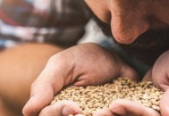  Anticipez vos commandes : Calendrier des expéditions de mai