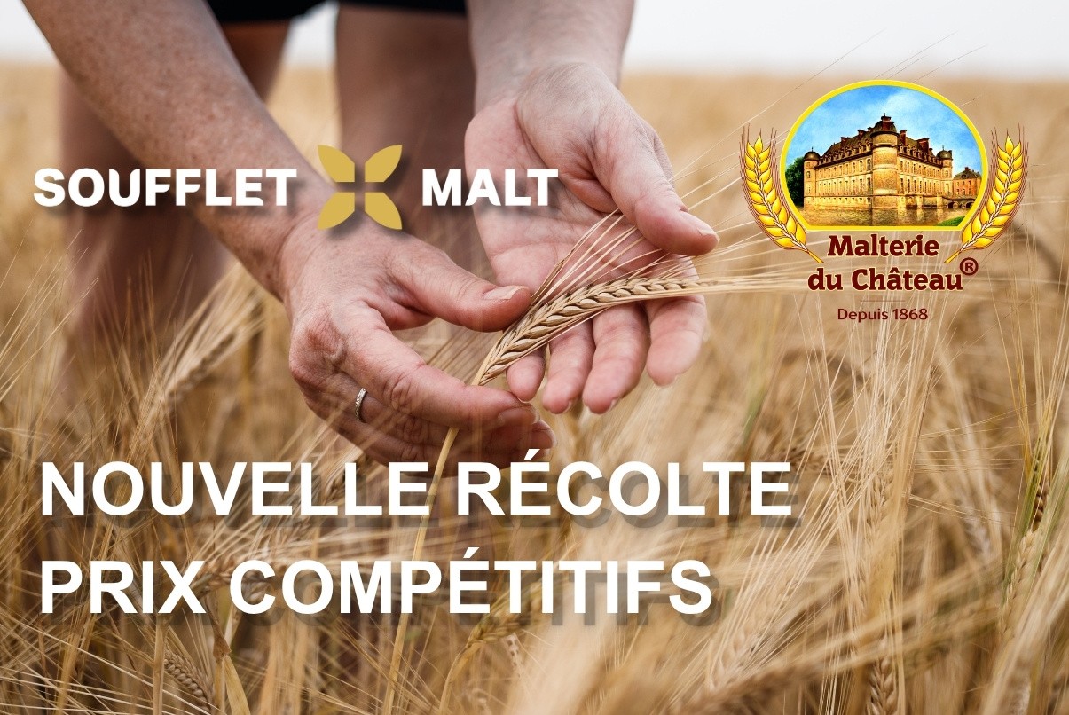 Nouvelle récolte : l’excellence française et belge à des prix encore plus compétitifs