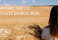 Récolte d’Orge 2025 — Découvrez ce qu’elle signifie pour vos bières en 2026