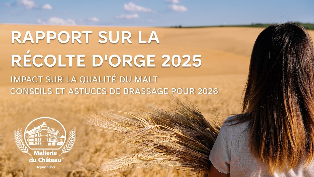 Récolte d’Orge 2025 — Découvrez ce qu’elle signifie pour vos bières en 2026