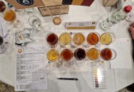 Félicitations aux lauréats du Brussels Beer Challenge 2025