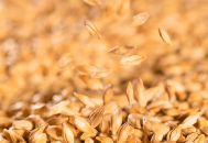 Informations importantes sur vos commandes pendant les fêtes