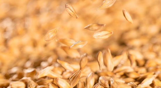 Informations importantes sur vos commandes pendant les fêtes